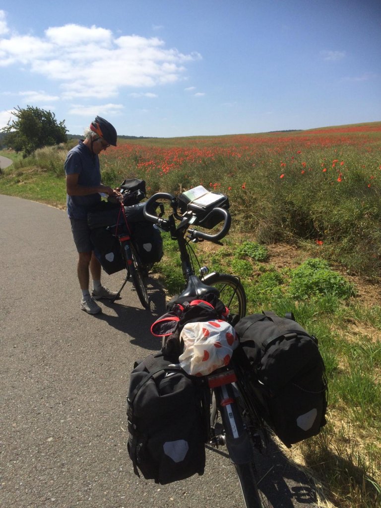 Veld met bloemen 2